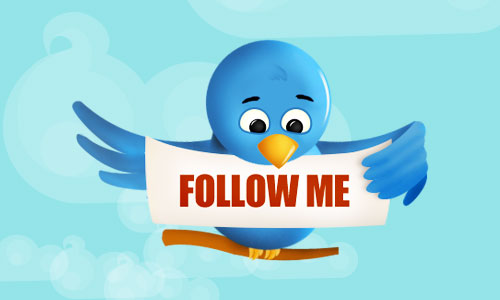 twitter_bird_follow_me